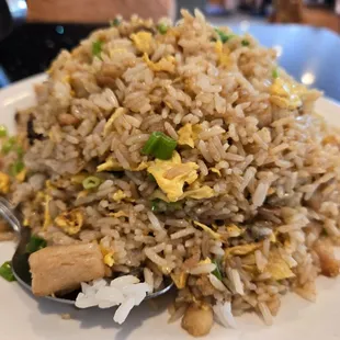 Salted Fish and Chicken Fried Rice