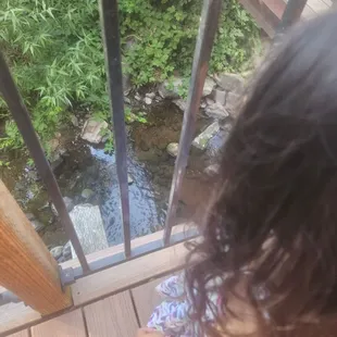 Feed the fish in the creek!