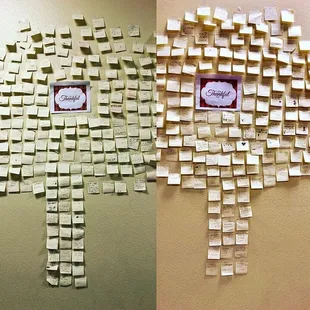 We are write what we are thankful for