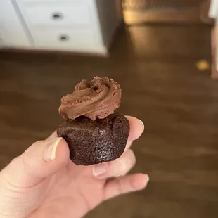 smallest cupcake in the world