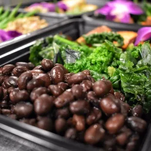 Vegetarian meals provided