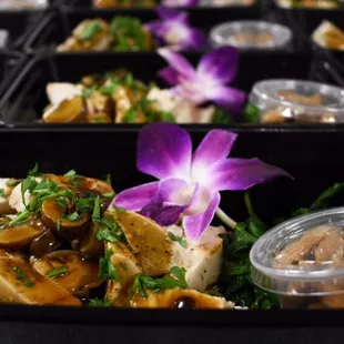 Hormone Free Marsala Chicken Breast, Organic (Brown Rice and Spinach)