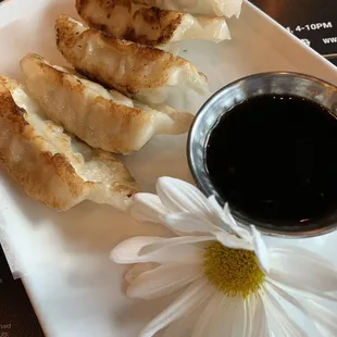 Gyoza