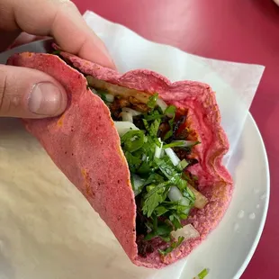 Nice soft handmade tortillas