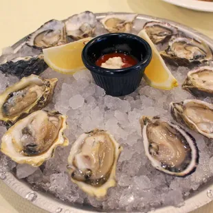 Oysters
