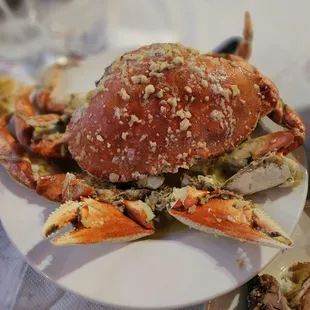 The amazingly delicious garlicy buttery crab
