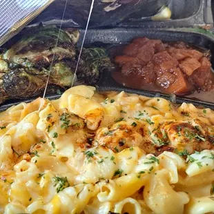 pasta dish, pasta, food