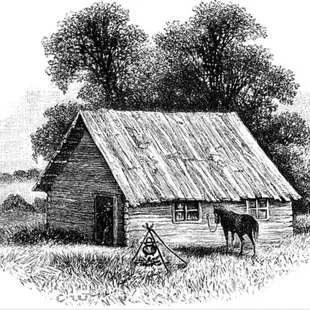 a horse standing in front of a cabin