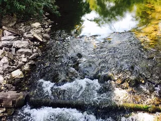 Sullivan Nature Sanctuary