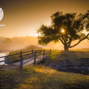 a wooden bridge over a river