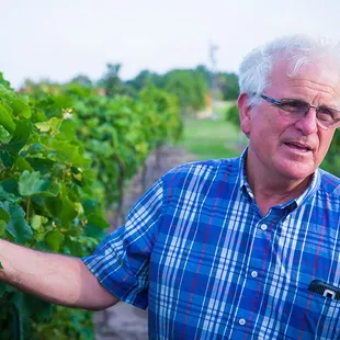 a man standing in a vineyard