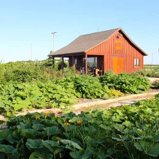 Romantic Vineyard Cabin (included in the Champagne and Cabernet wedding packages)