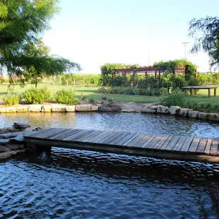 Windmill Pond