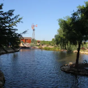 Windmill Pond