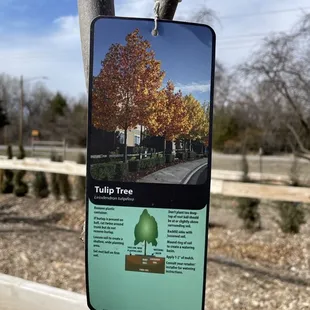 information about the tree