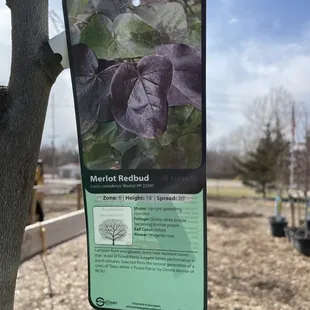 a sign with information about the plant