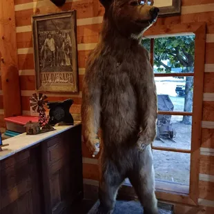 a stuffed bear in a cowboy hat