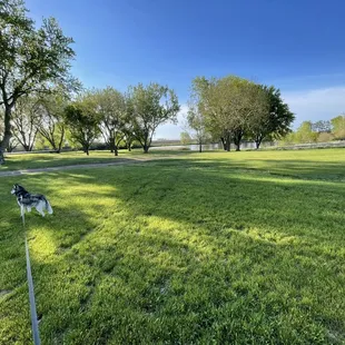 Entrance area towards the pond