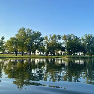 From the paddle boat looking to shore