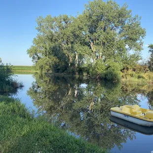Beautiful views.. one little corner was smelly of dead fish, but overall paddling through was so pleasant and enjoyable!