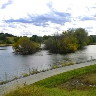 Looking North from Lincoln Rd.