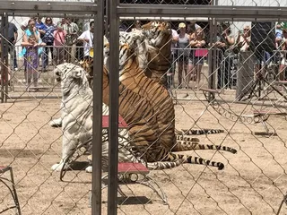 El Paso County Fairgrounds