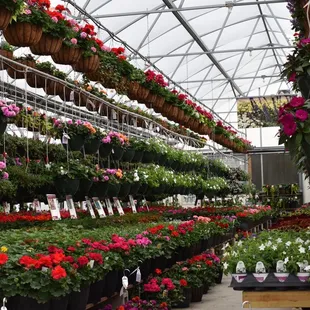Inside view of our main greenhouse.