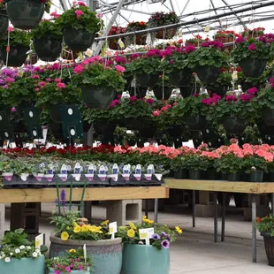 View of our main greenhouse