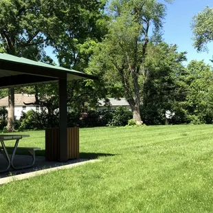 Open Area and a Portion of the Shelter
