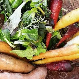 carrots, lettuce, and sweet potatoes
