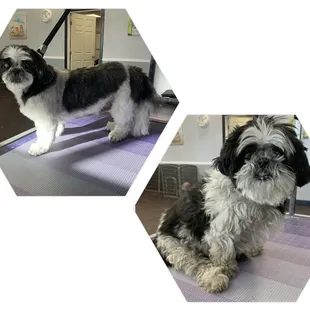 15 year old Zoe after grooming
