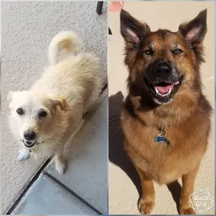 Sadie and Marley looking beautiful!