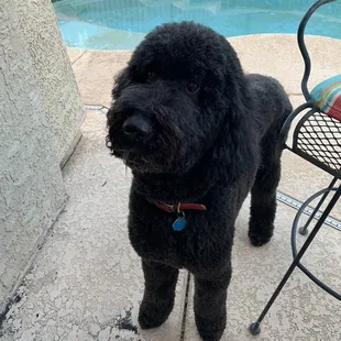 Ellie rocking her fresh &apos;do! For once, she&apos;s not embarrassed by her haircut.