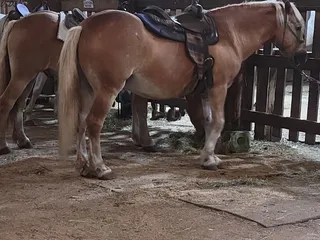 Natural Valley Ranch