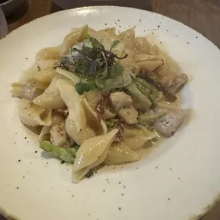 Conchigle