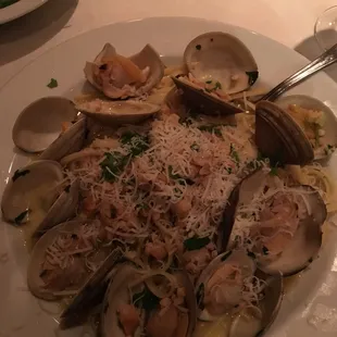 Clam Linguini