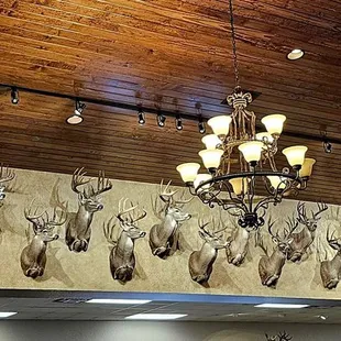 Nice Racks!