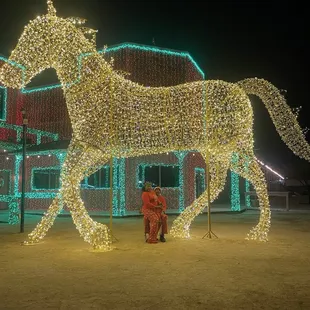 Another beautiful horse with lots of lights