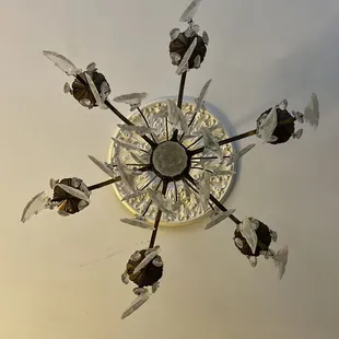 Pretty light fixture in Winter Room