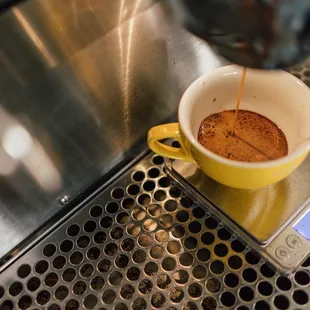 Praxis Coffee Roasters