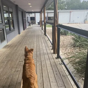 Location featuring dog