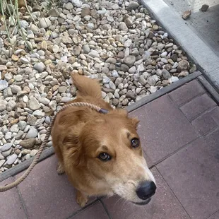Happy girl got a cookie