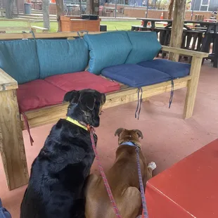 sushi and sashimi, outside