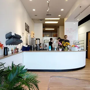 a coffee shop counter with a plant in the foreground