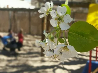 Serendipity Day School