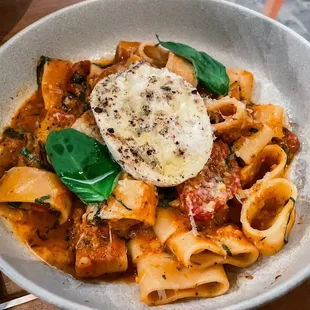 Tomato Calamarata