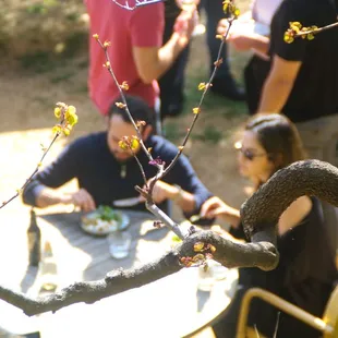 outside, oysters and mussels