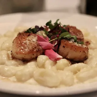 Gnocci w seared scallops in a creamy garlic sauce. #yum!