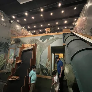 Upstairs area with slide