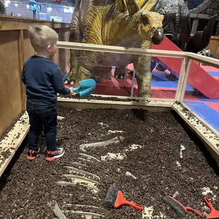 Kids free area to play around.